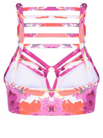 Kit 547 Top Jani Estampado